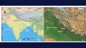 जामुन के विकास के उद्गम स्थल के रूप में भारत उभर रहा है