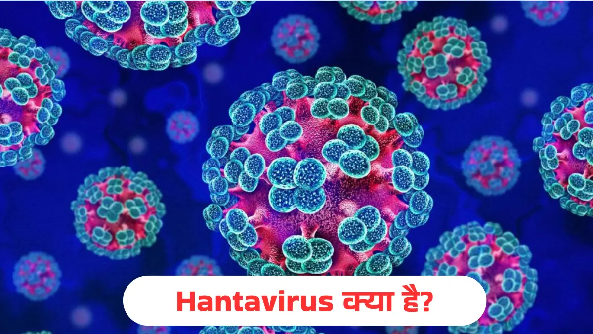 Hantavirus क्या है?
